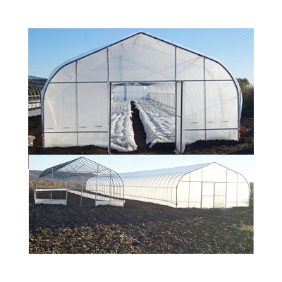 Greenhouses Farming with Strong Greenhouse Structure Agricultural or Commerical Invernadero