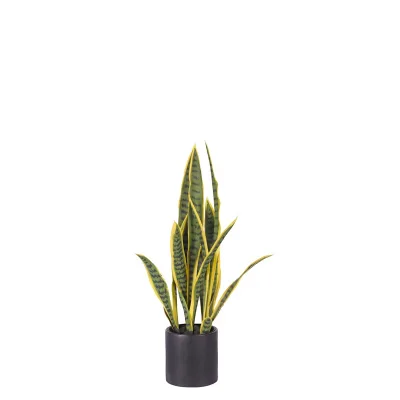 Hot Selling Artificial Snake Plant 70CM PE Material for Christmas Easter Valentine's Day Decoration