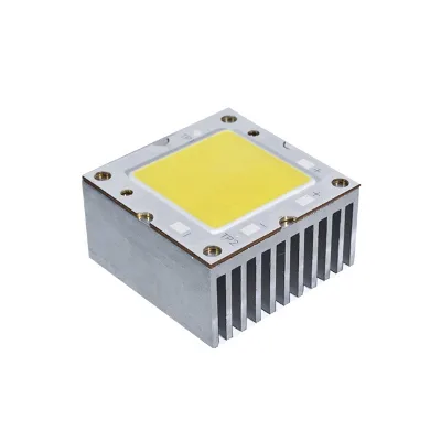 100w Custom Watt Led Chip Customized Industry Hot Selling High Brightness Cob Chip for Video Light