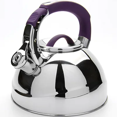 China's High Quality 3L Stainless Steel Rapid Kettle Food Grade Metal with Induction Bottom for Home Travel Hotels