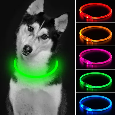 Sof Plastic Custom Print Pets Collars Cat Flashing High Quality Neon Personalised Smart TPU Dog Collar
