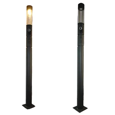 Customized Multi-Functional Metal Street Lighting Lamp Poles Smart Outdoor Square City Poles LED Light Source for Gardens Cities