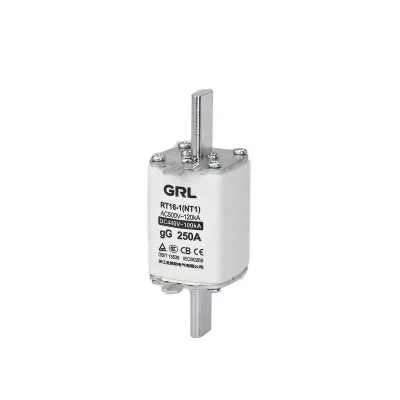 GRL High-Voltage Fuse Electric Ceramic Thermal Fuse High/Low Breaking RT16-00 NT00 10A 20A 40A 80A 100A 160A