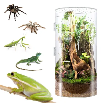 Micro Reptiles Cage Acrylic Insect Enclosure for Spider Frog