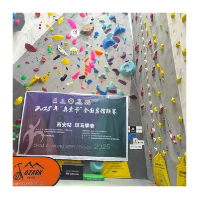 Competition Grade Certified Indoor Climbing Wall, Custom Metal Frame Bouldering Wall for Fitness Club