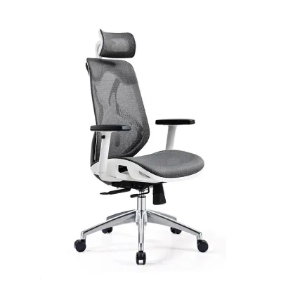 Ergonomic Dual Lumbar Office Chair Remastered/Commercial Office Chair Executive Chair