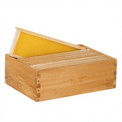 8-frame Medium Super Wooden Langstroth Bee Hive with Polished Wax-coated Frames and Waxed Bottom Boards Handmade
