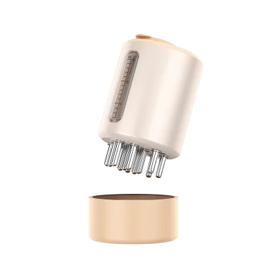 T New Ems Massager Head Scratcher Comb Applicator for Hair Growth Hair Massager Scalp Electronic