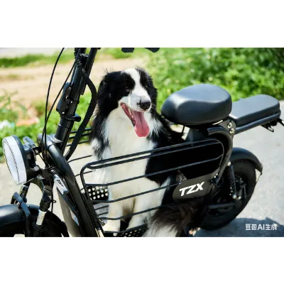 14" Steel Frame Electric City Scooter