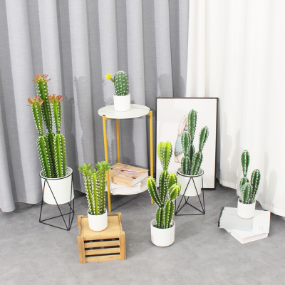 Indoor Erevgreen Decoration Plastic Cactus Faux Plants Tropical Plant Simulation Cactus Artificial Cactus