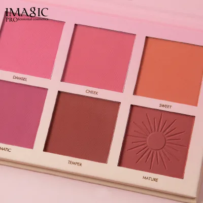 Matte Pearlescent Long-lasting Waterproof Blush Palette Natural Nude Makeup Girly Multi-color Pink Blush Palette Highly Pigment
