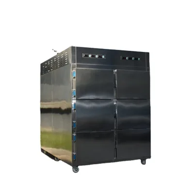 SYSMEDICAL Stacked 6 Body End Opening Morgue Refrigerator Transfer Options
