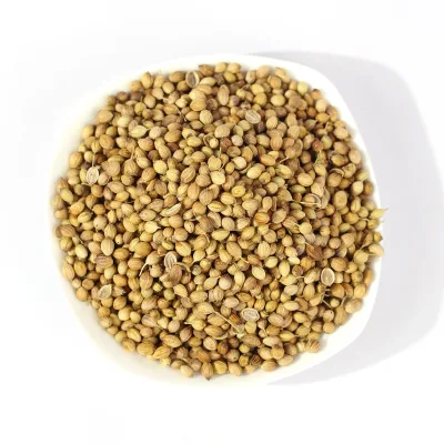 Factory New Crops Agricultural Cilantro Beat Quality Dried Coriander Seeds Cilantro Seed