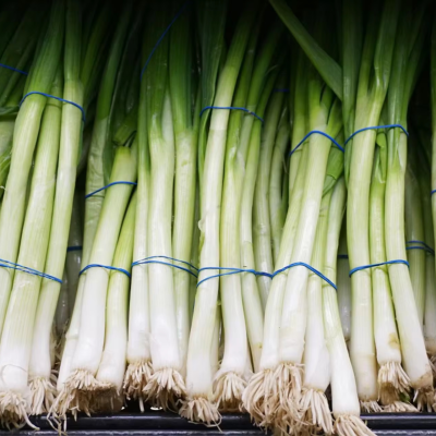 Fresh Scallions, Organic Scallions, Pure and Healthy.