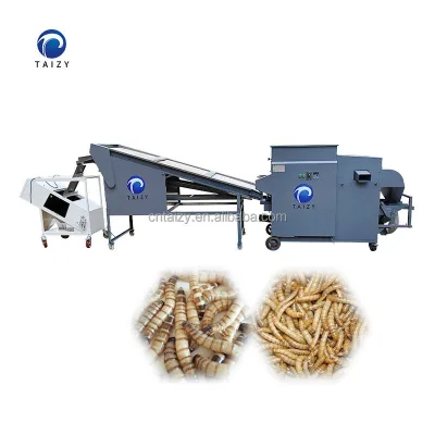 Yellow Mealworm Sorter Fully Automatic Bread Worms Sorting Machine High Capacity Yellow Mealworm Larvae Sorter