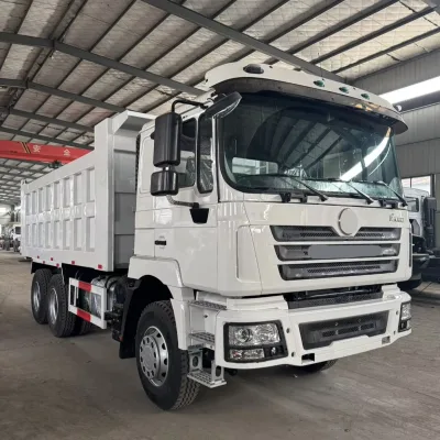 Chinese Factory 6x4 Diesel Dump Truck F3000 4x4 Truck