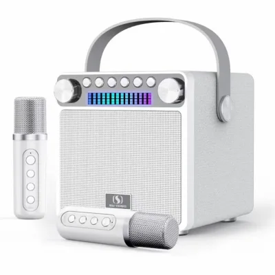 New Design Vintage Dual Wireless Microphone Speaker Portable Outdoor Use Speaker