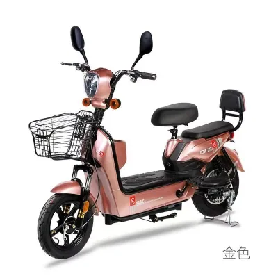 Two-wheel Electric Vehicle, 48V Electric Bicycle, Electric Mobility Vehicle