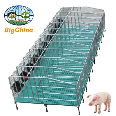 Gestation Pen for 10 Sows With Slatted Floor Full Product Galvanized 15+ Year Service Life Jaulas De Gestacion Cerdos
