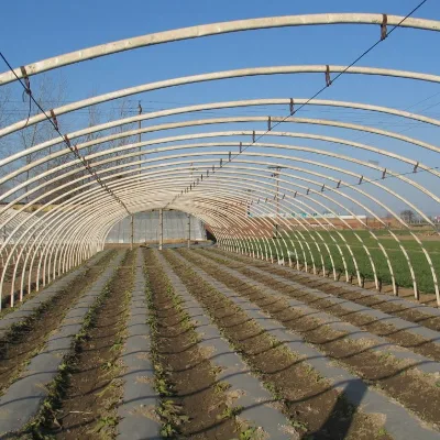 Agriculture Used Tunnel Greenhouse Film Green House Tent With Light Deprivation System