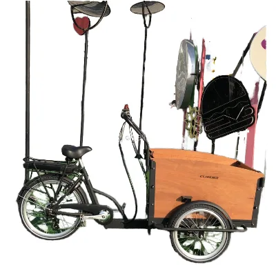 European North American Electric Cargo Tricycle Clamber 36V Motorized Open Body 400kg Payload EEC Certified Passenger Made China