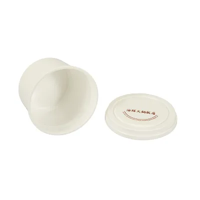 400ml Soup Bowl Instant Noodle Bowl Plastic Soup Bowl with Lid