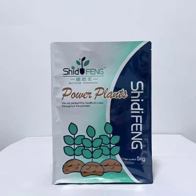 Customized Plastic Packaging Bags Are Used to Pack Waterproof and Odorless Plastic Bags