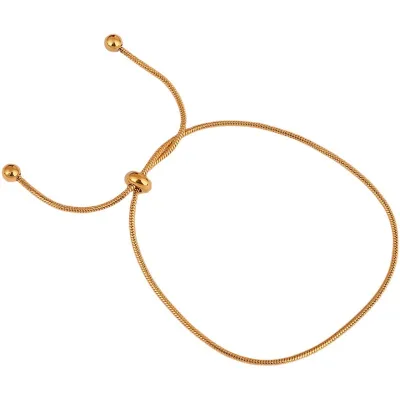 Feminine Sense Niche Design Titanium Steel Light Luxury Retro Pull Adjustable Anklet