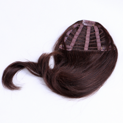 Hair Extension Bang/clip in Hair Extensions Fringe Bang/remy Clip on Hair Extension Bangs Human Hair Chinese Hair Any Color