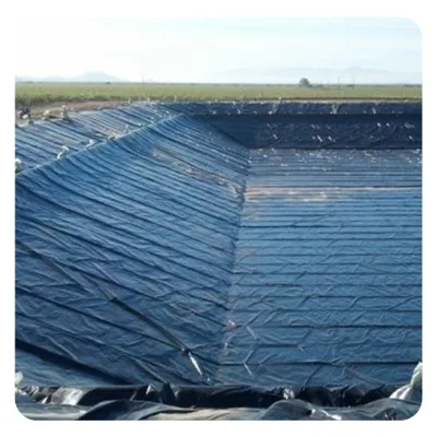 2mm HDPE Pead Geomembrana 1mm for Landfill and Mining Project