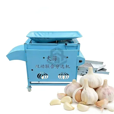 Garlic Separator Machine Factory Direct Sale Garlic Large Capacity Garlic Sorting Equipment