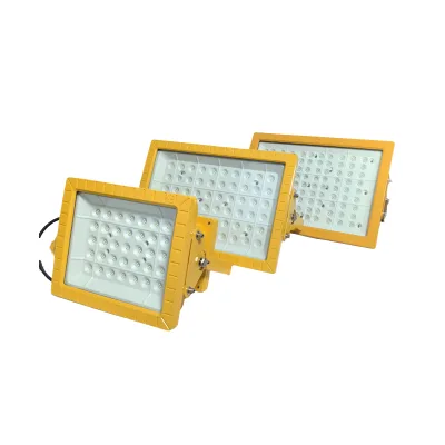 Explosion Proof Flood Light 100W 150W 200W 300W 400W CFT3 ATEX Certified IP65 LED Industrial Explosion Proof Flood Light