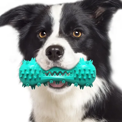 Wholesale Eco-Friendly Dog Toothbrush Grind Stick Dog Toy Pet Supplies Pet Chew Toys Dog Teeth Cleaning Pet Product