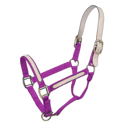 Premium Quality Personalize Horse Beaded Lead Rope Halter Horse Halter Manufacturer Available All Colors Customization
