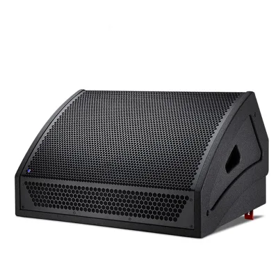 FT-112 Professional Wedge Monitor 12-inch Birch Plywood Stage Monitor