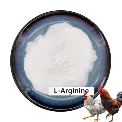 Wholesale Nutrition Supplements Chicken Arginin L. Arginine l Arginine Private Label