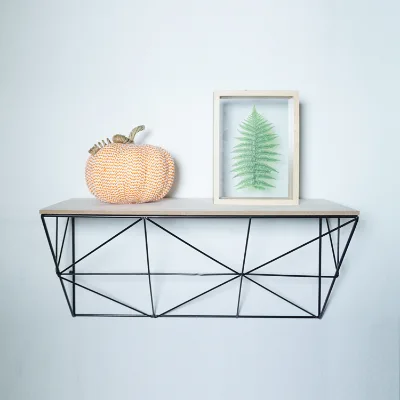 Multifunction Creative Iron Display Board Wood Metal Wall Shelf for Office
