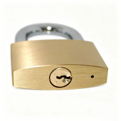 Heavy Duty Brass Square Body Padlock 20-60mm Top Security Anti Cut Anti Theft Double Lever Locking ISO9001 Certified Door