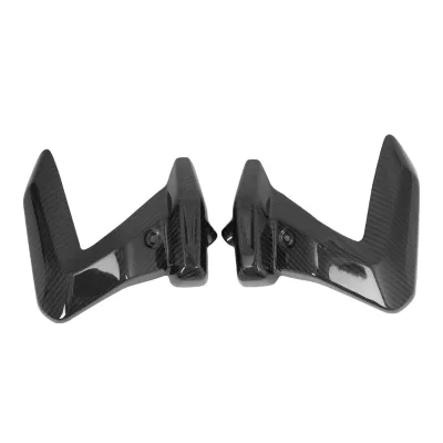DRY CARBON Fiber Engine SPARK PLUG Side Cover Trim for BMW R1250GS ADVENTURE 2019