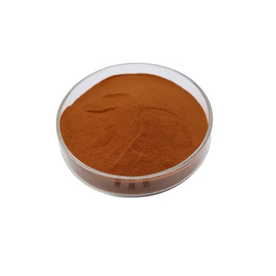 High Quality Dried Soy Sauce Powder for Factories and Restaurants OEM ODM Multi-Functional Soy Sauce Powder
