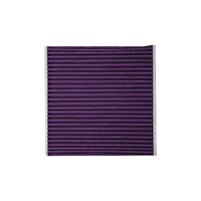 Antibacterial & Deodorization Air Filter for Toyota 87139-33010