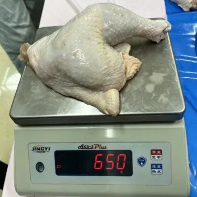 Halal ISO BQF Frozen Chicken Leg Quarter for Food Industry Supply