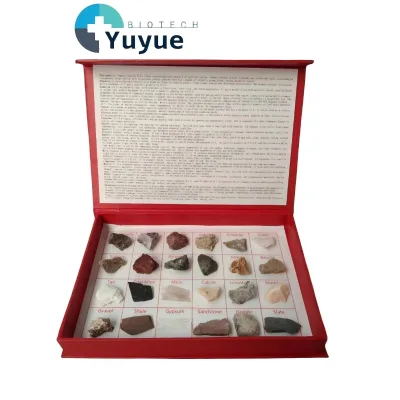 24PCS Rock & Mineral Specimens Collection, Geology Teaching Kit for Geography Education