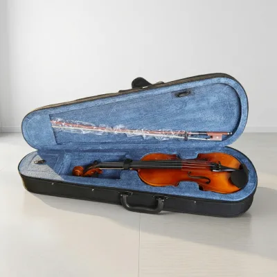 OEM Professional Combo Stringed Musical Instruments Glossy Basswood Side Back Maple Neck Violin With Bow and Case