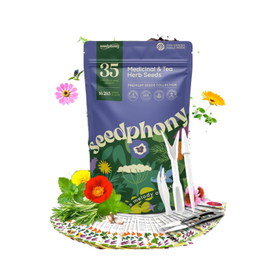 35 Variety Pack Non-GMO Heirloom Herb for Medicinal Tea Indoor/Outdoor Gardening Lavender Basil More