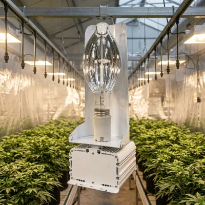 HID HPS Grow Light Kit Built in Reflective HPS Bulb Electronic Ballast Complete Fixture for Commercial Greenhouse Plant Growing