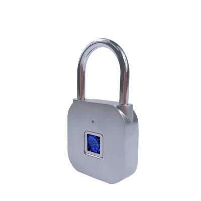 Safety Keyless Waterproof Usb Biometric Bag Locker Drawer Cabinet Security Fingerprint Smart Lock Padlock