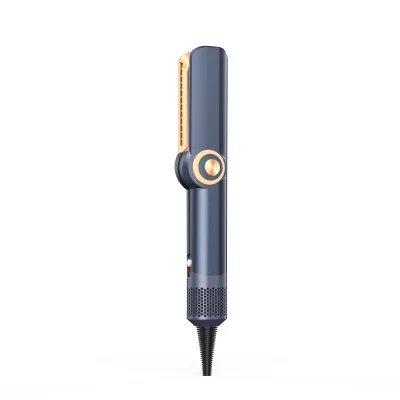 Home Plug-in Two-in-one Ceramic LED Hair Dryer & Straightener with 1300W Power and 80-160 Temperature Control