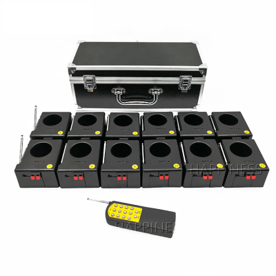 Hot Sale 12 Cues Cold Stage Fireworks Remote Control for Celebration Firing System Fireworks
