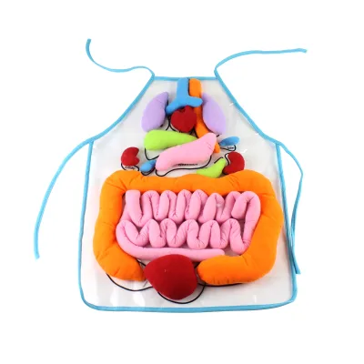 Educational 3D Organ Apron Human Body Organs Apron for Preschool Teaching Aid